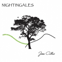 Nightingales by Jenn Allas