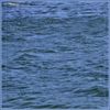 waves