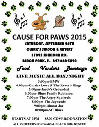 Cause for Paws