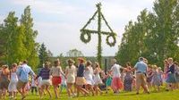 Twinflower at Midsommar