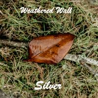 Silver by Weathered Wall