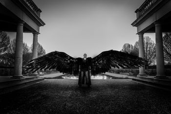 Dark Angel
