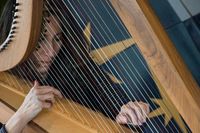 Music at the Library series