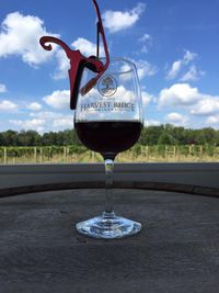 Music in the Vineyard!
