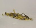 Loose Herbal Smoke Blends