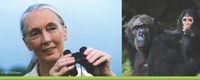 Jane Goodall Institute Benefit 