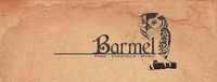 Barmel "Bright Side" release celebration