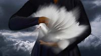 Catch The Bird Who Won't Fly