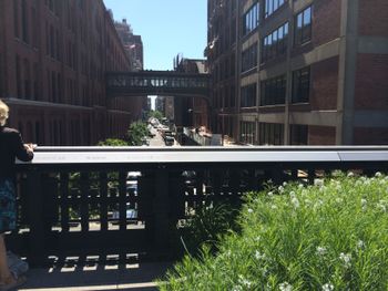 High Line Park
