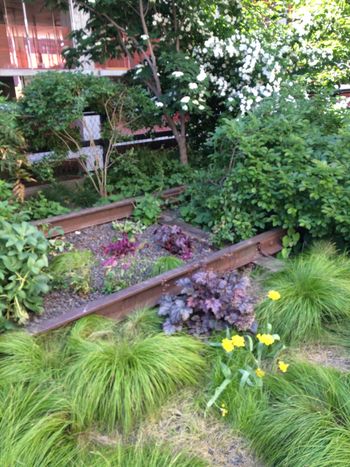High Line Park

