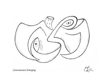 Consciousness Emerging
