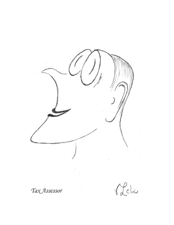 Tax Assessor
