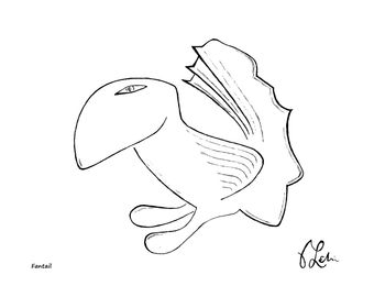 Fantail
