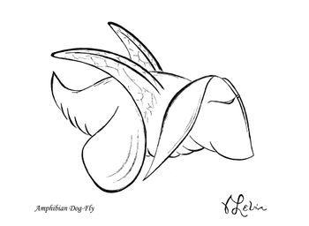 Amphibian Dog Fly
