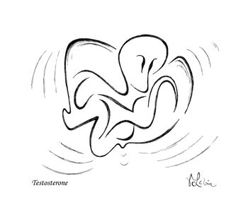 Testosterone
