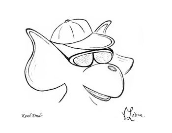 Kool Dude
