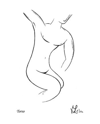 Torso
