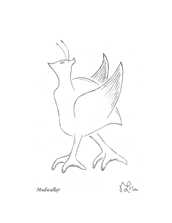 Mudwalker
