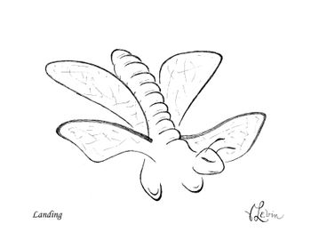 Landing

