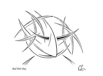 Bad Hair Day
