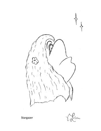 Stargazer

