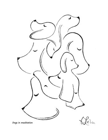Dogs in Meditation
