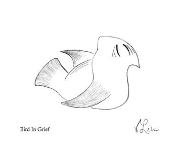 Bird In Grief

