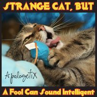 Strange Cat, But... / A Fool Can Sound Intelligent by ApologetiX