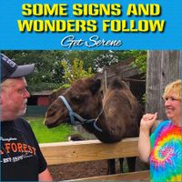 Some Signs and Wonders Follow / Get Serene by ApologetiX
