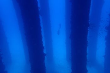 Kiva freediving end of Fredriksted Pier, St. Croix

