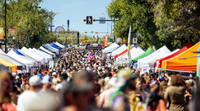 Mardi Gras Street Festival