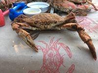 1936 Crab Deck