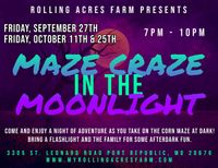 Maze Craze in the Moonlight