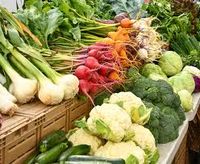 UBC Farm Market