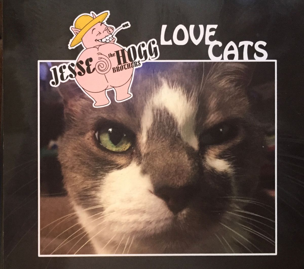 Love Cats - CD