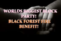 The Worlds Biggest Block Party (Benefit for the Black Forest Fire)