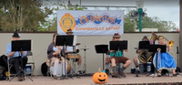 Hans Schmidt Band