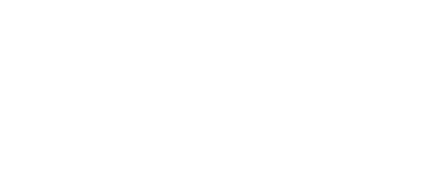 GRANT CHESIN