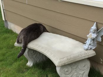 Hunting Bugs..
