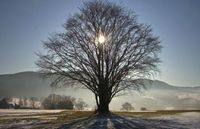 Yoga celebration of winter solstice in Oslo