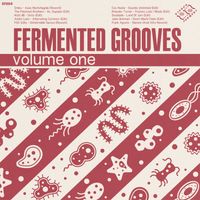 Fermented Grooves Volume I by Compilation