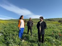 Dina Kitrossky Trio