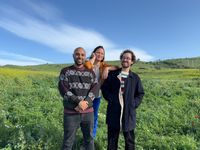 Dina Kitrossky Trio