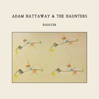 Rooster by Adam Hattaway & The Haunters