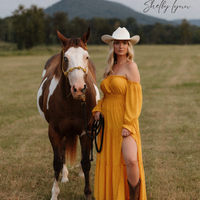 Dear Texas  by Shelby Lynn