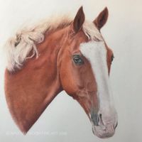 Laura Moe w/Bill Travers