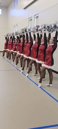 Holiday Dance and Music Performance at Maplewood Mall