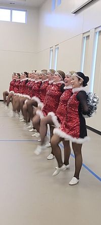 Holiday Dance and Music Performance at Eden Prairie Mall
