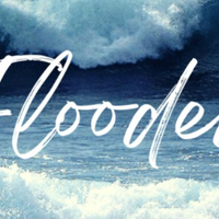 Flooded by MD Millz