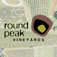 Joe Holder live at Round Peak Campout